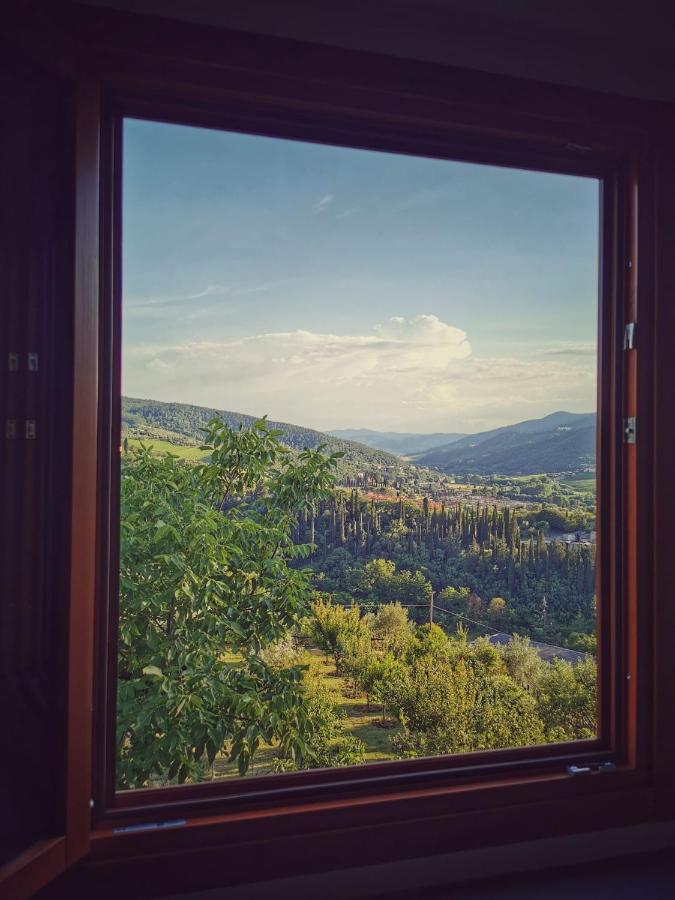 Vila L'Oasi Di Cice Rufina Exteriér fotografie